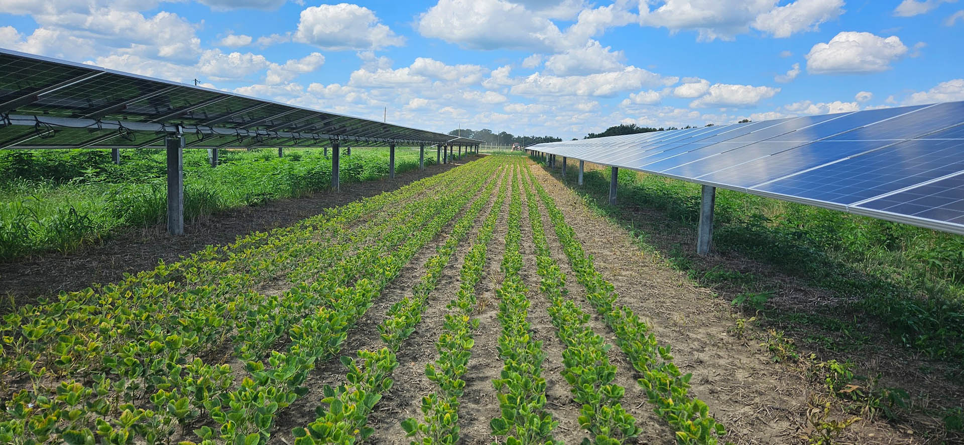 Madison Field project images