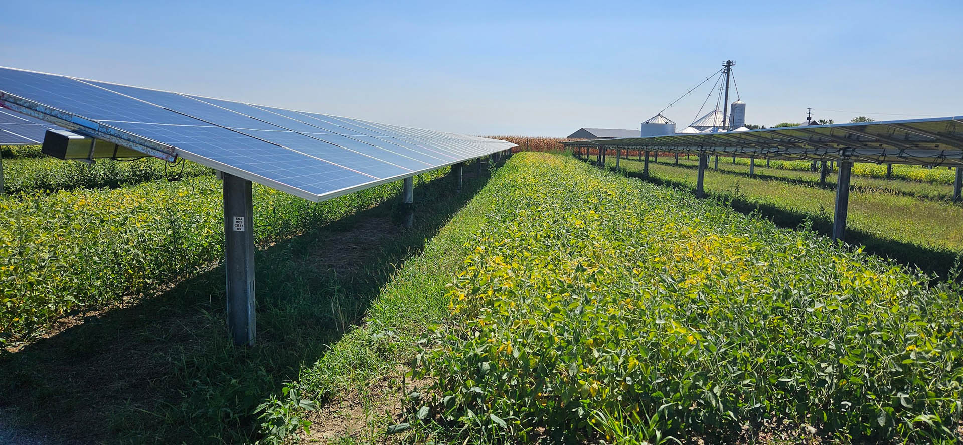 Madison Field project images